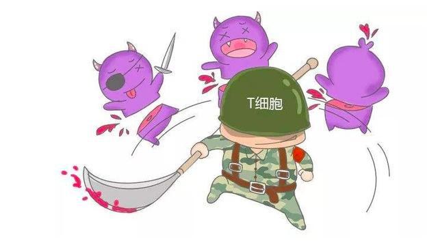防止癌细胞转移，“杀手”T细胞有“两手”