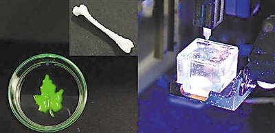 开放式软材料3D打印机面世