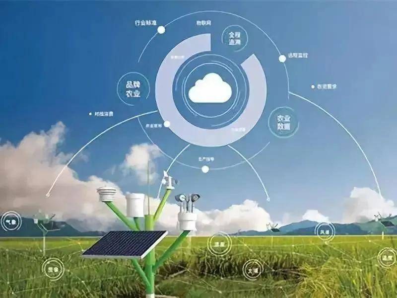 我科学家揭示地表矿物-微生物-有机质耦合作用新机制