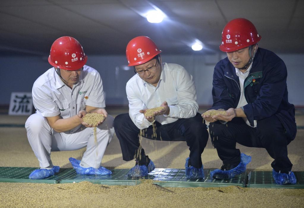 科技赋能守护大国粮仓